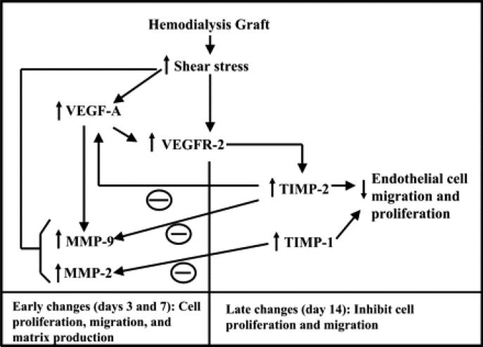 Fig. 9