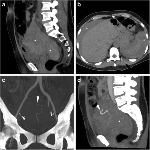 Fig. 8