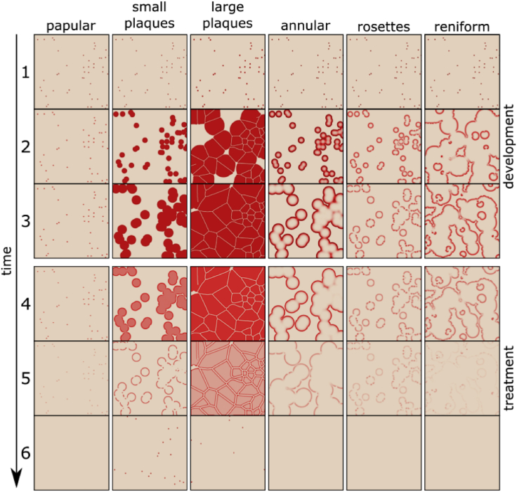 Figure 4