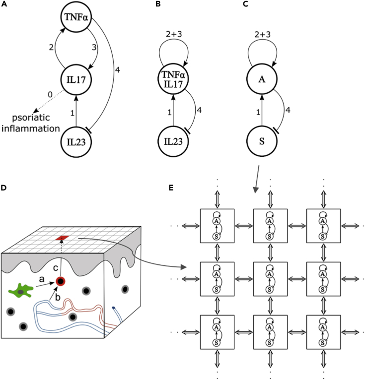 Figure 2