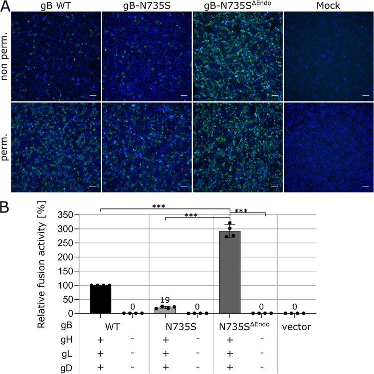 FIG 4