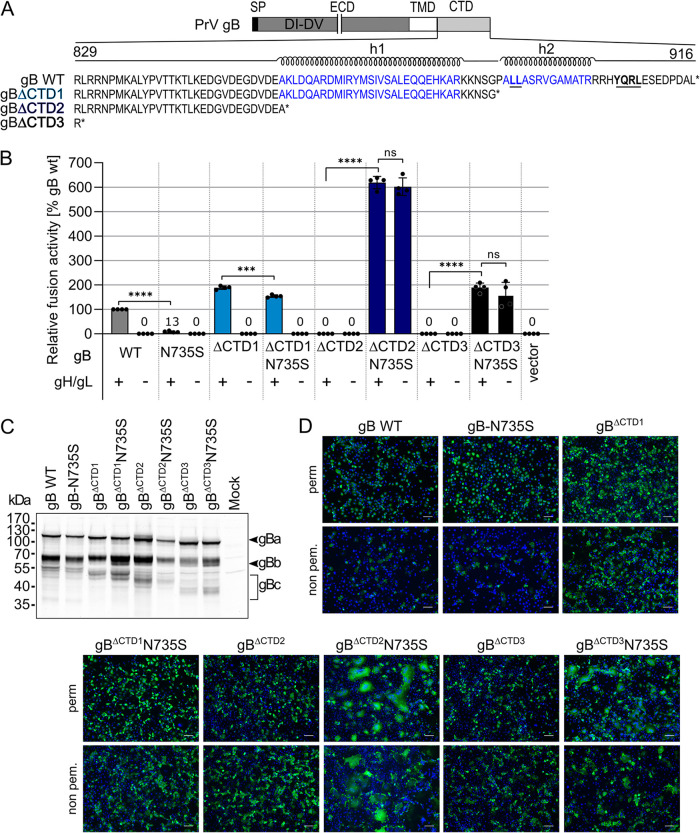 FIG 3