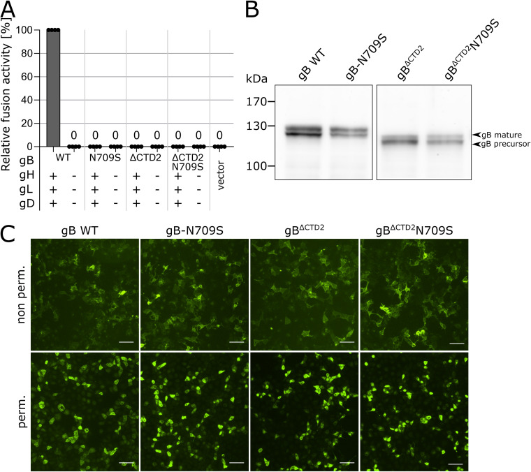 FIG 6