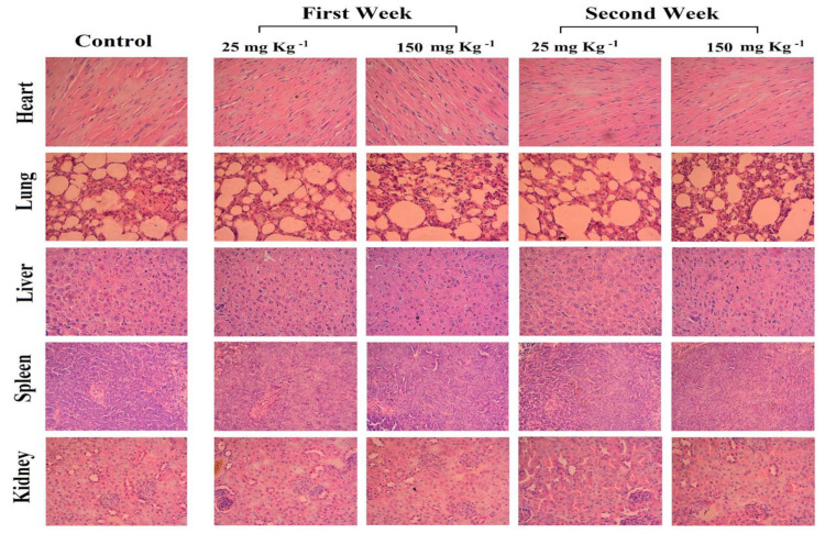 Figure 16