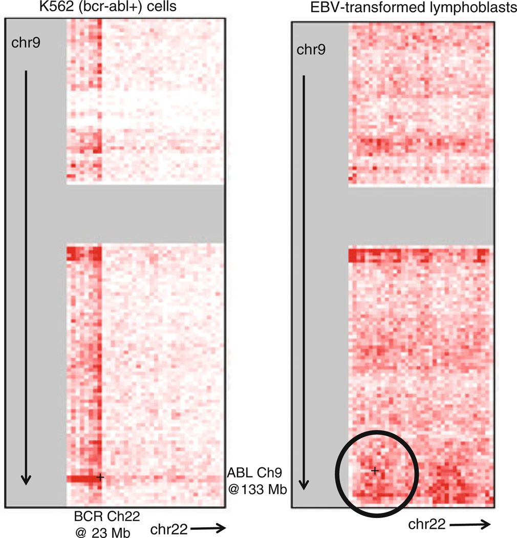 Fig. 10