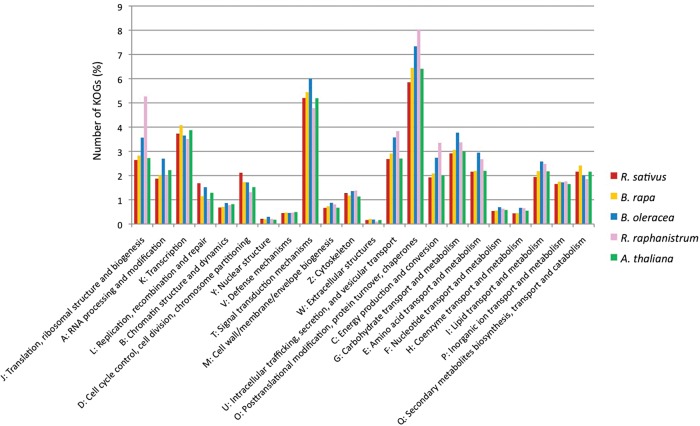 Figure 2.