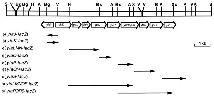 FIG. 1