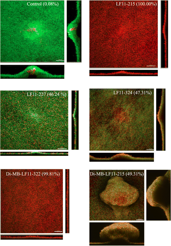 Fig. 4