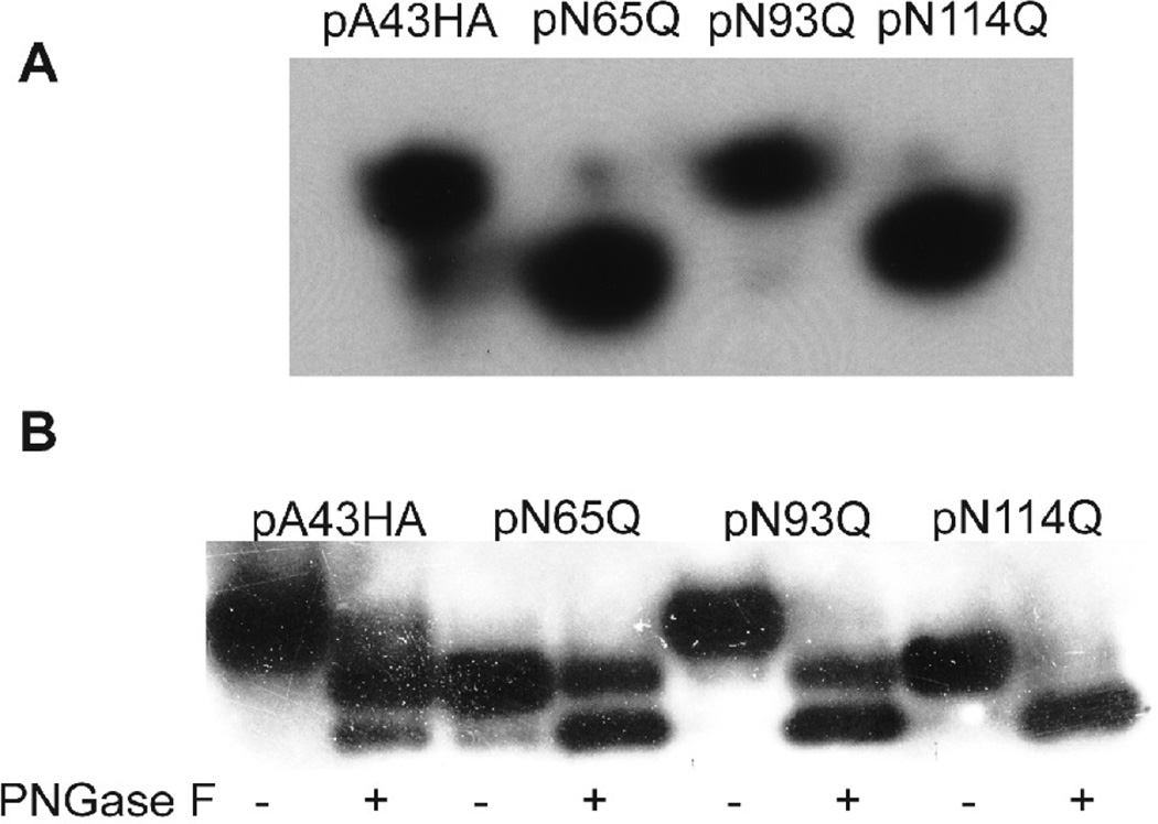 FIG. 3