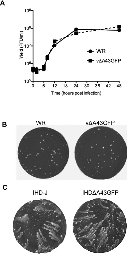 FIG. 7