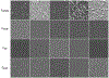 Fig. 9: