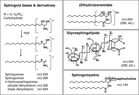 Fig. 4