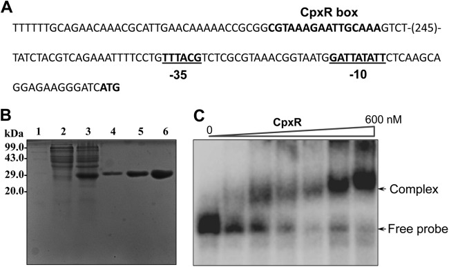 Fig 8