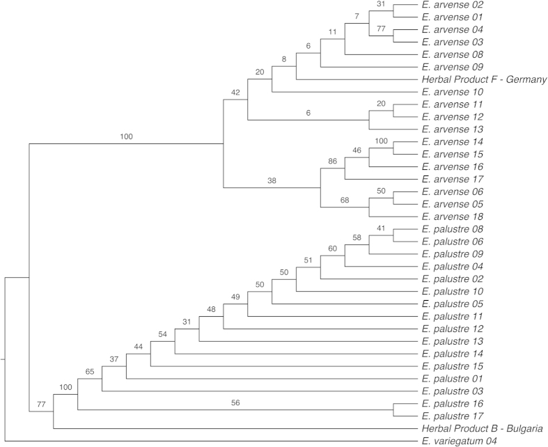 Figure 5