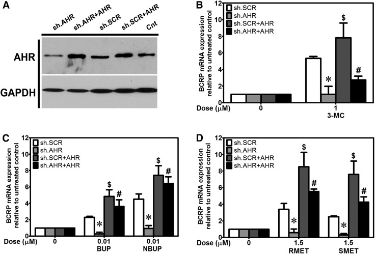 Fig. 6.