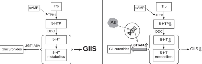 Fig. 7.