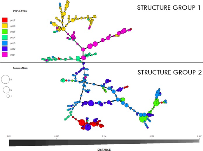 FIG 3