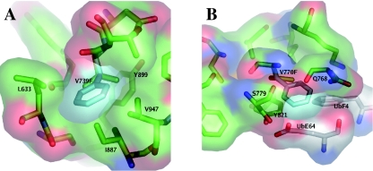 Fig. 7