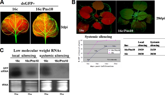 FIG. 4.