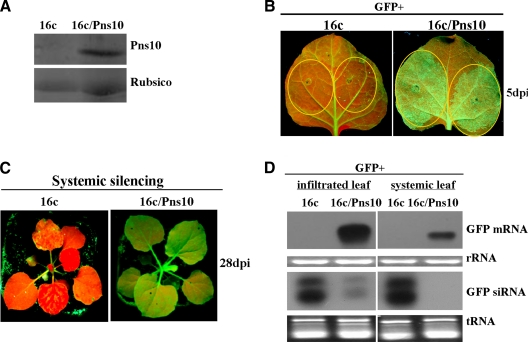 FIG. 1.