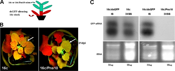 FIG. 5.