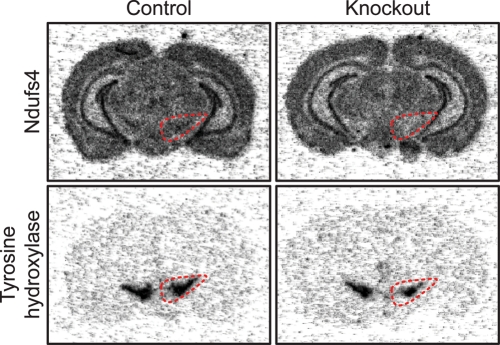 Figure 3.