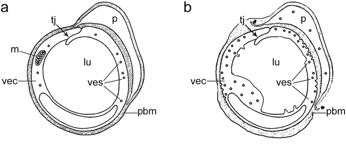 Figure 8