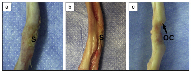 Figure 23