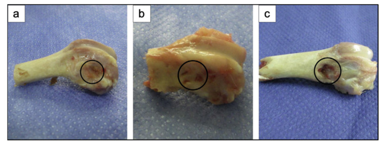 Figure 22