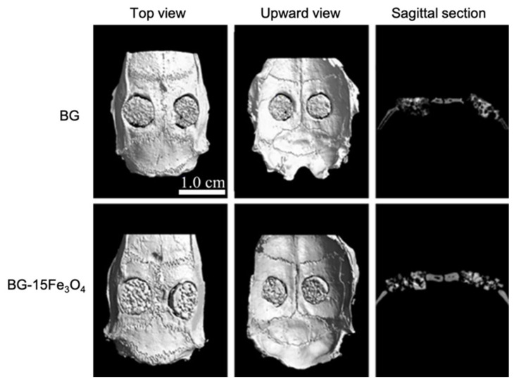 Figure 19