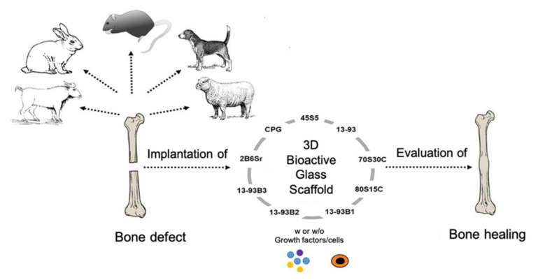 Figure 16