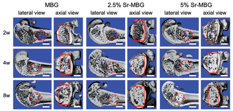 Figure 21