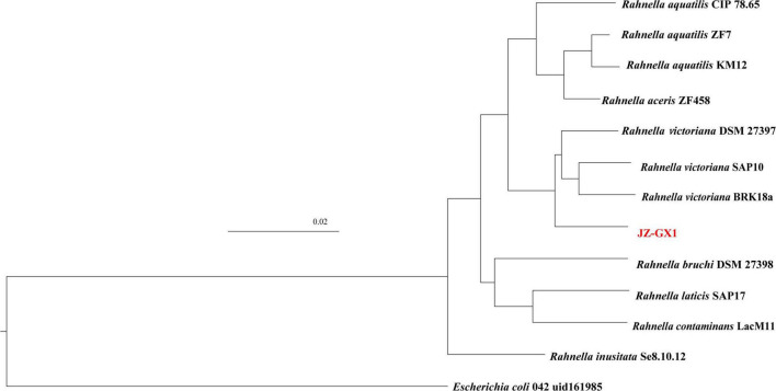 FIGURE 2