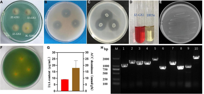 FIGURE 4