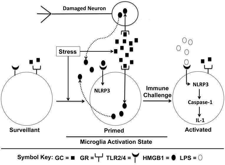 Fig. 1