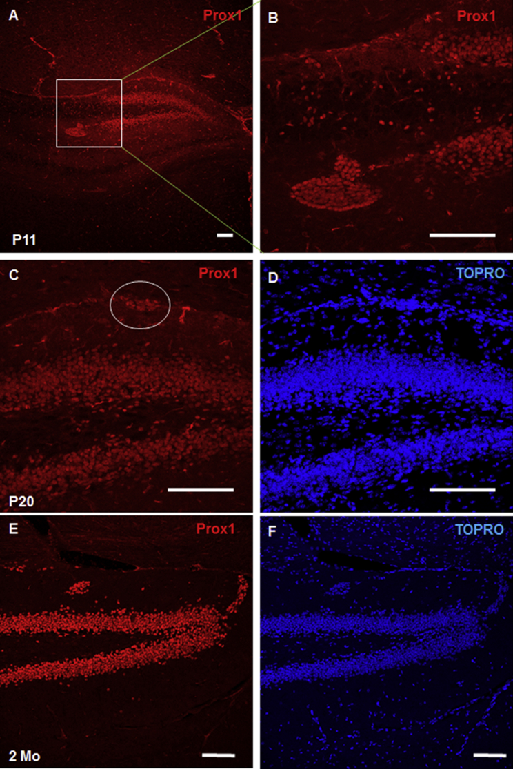 Figure 4