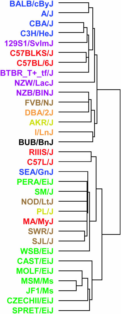 Figure 3.—