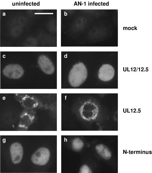 FIG. 8.