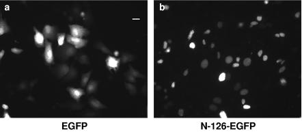 FIG. 9.