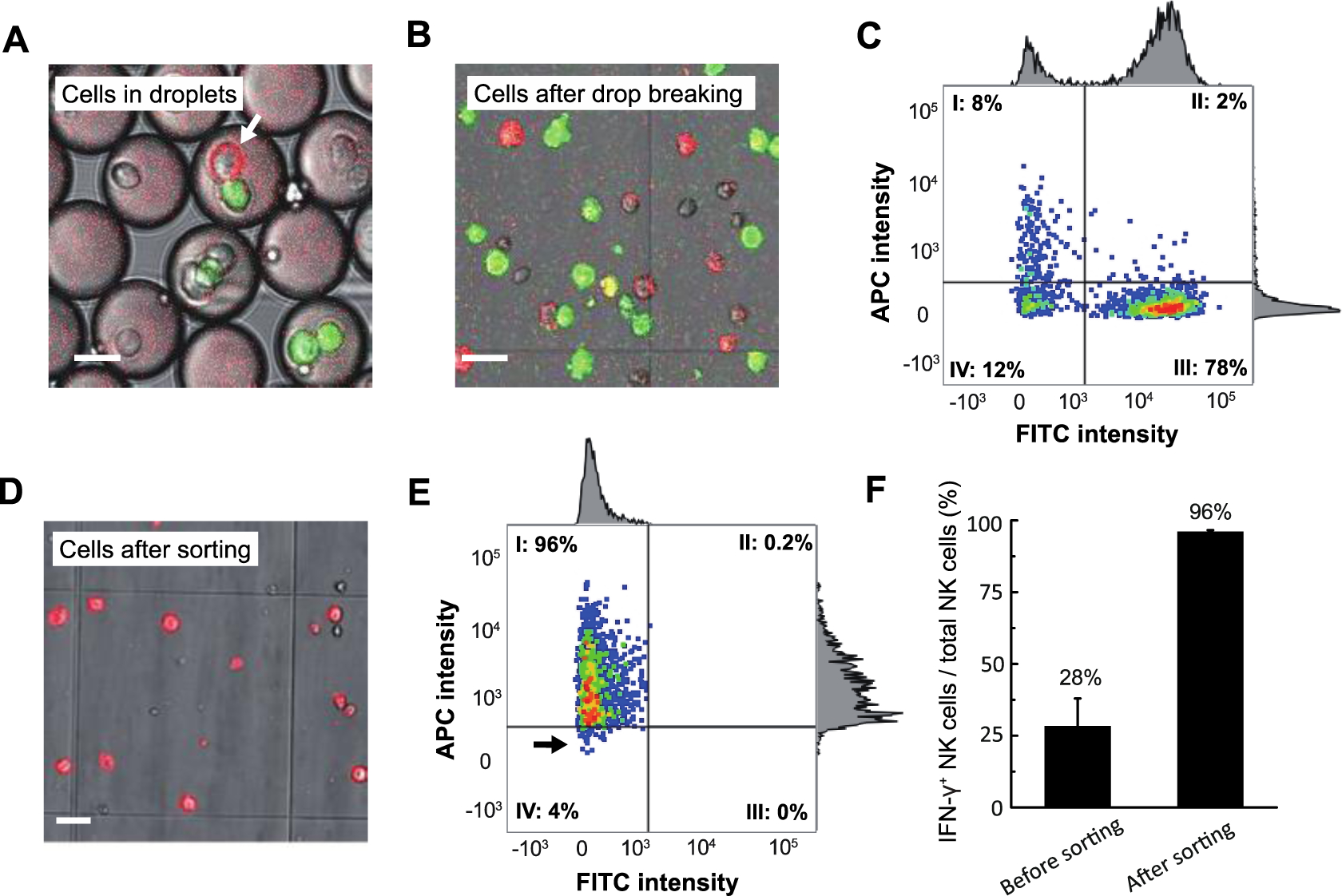 Figure 4: