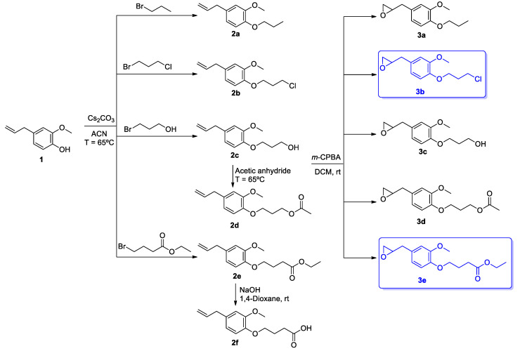 Scheme 1