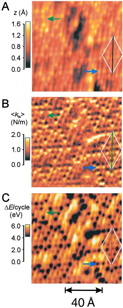 Fig 3.