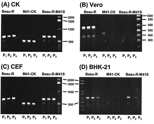 FIG. 4.