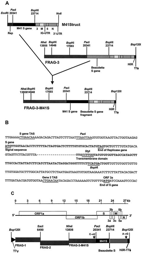 FIG. 2.