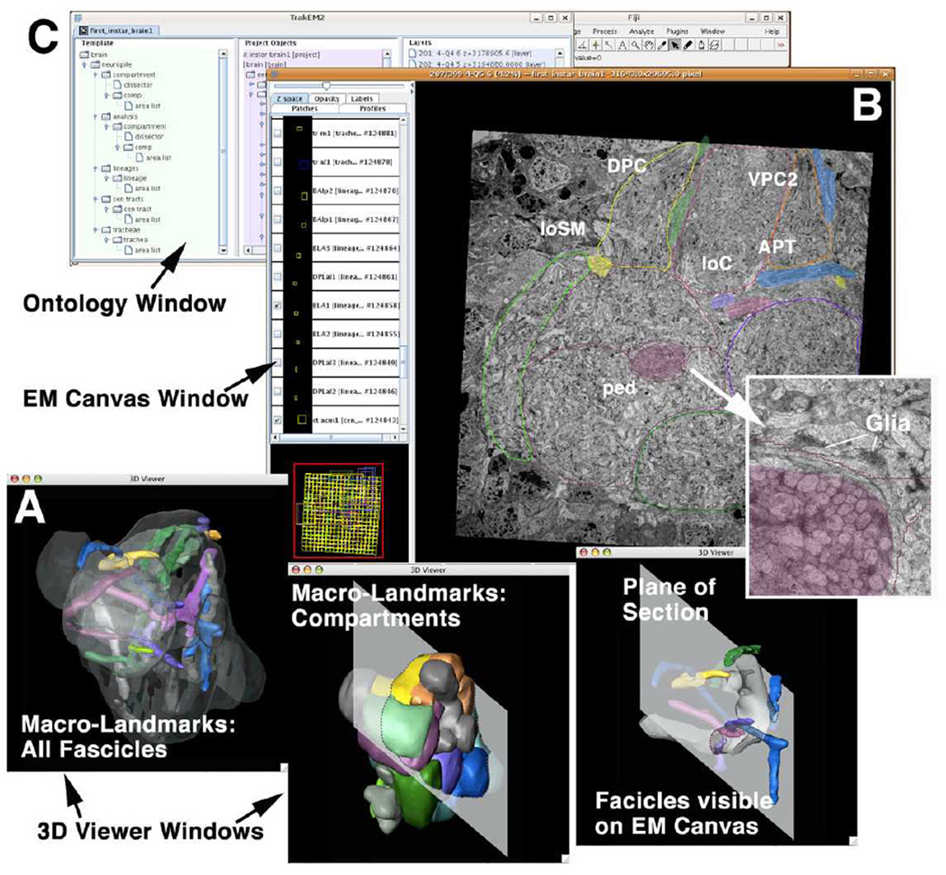 Fig. 3