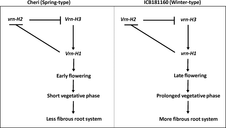 Fig 5