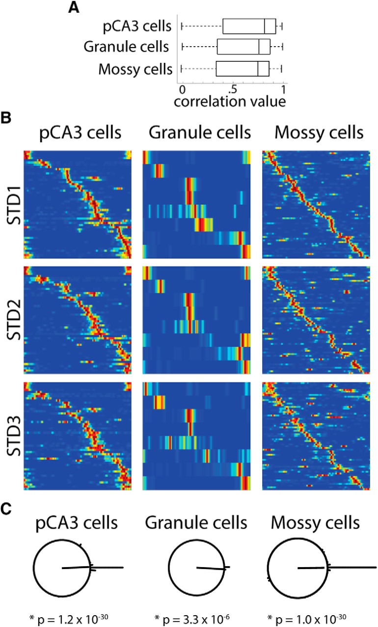 Figure 7.