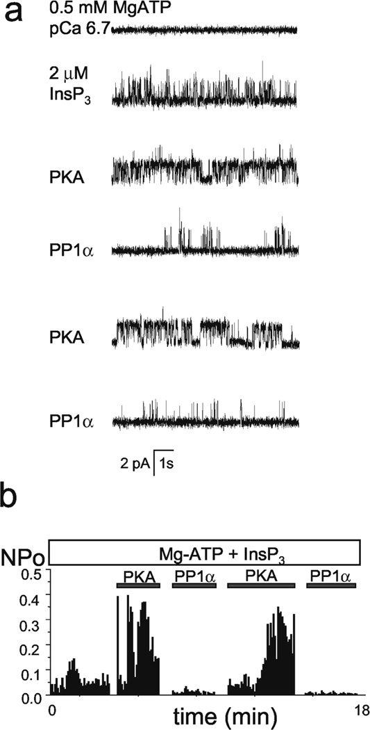 Fig 4