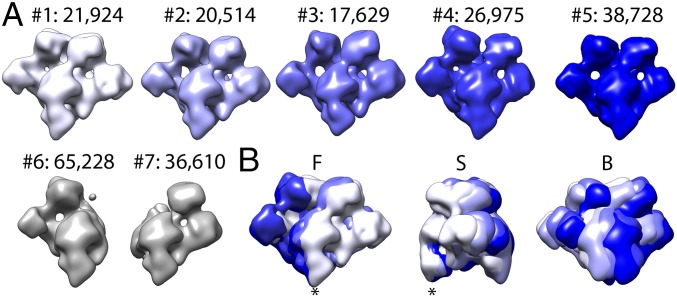 Fig. 5.