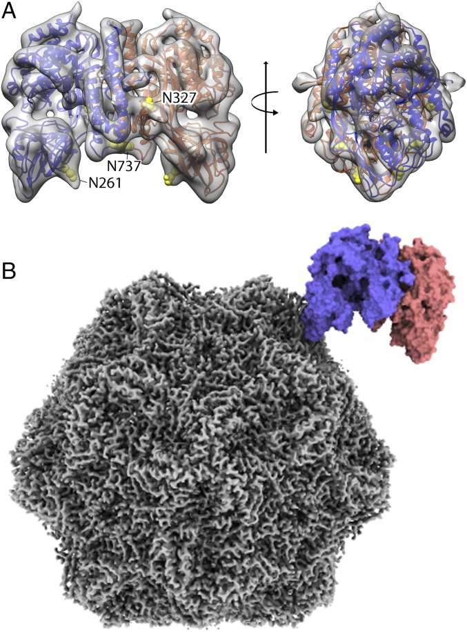 Fig. 6.